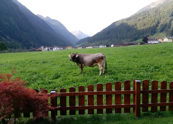 Mueller * Neustift im Stubaital