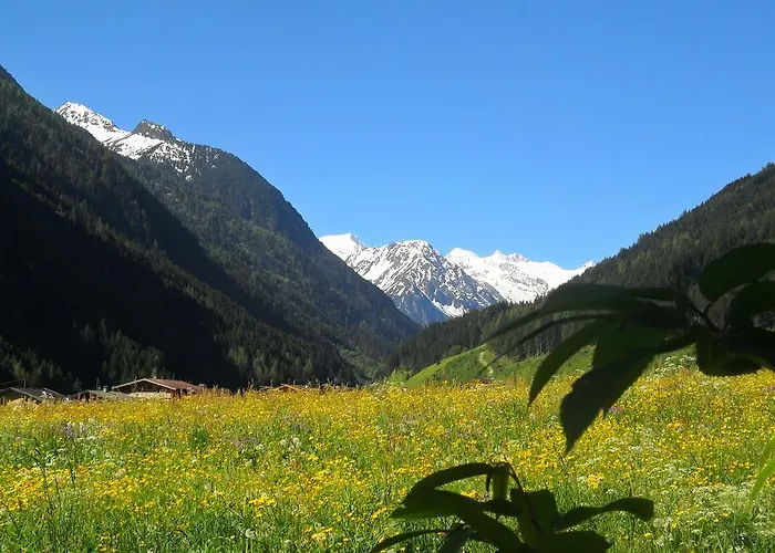 Appartement Mueller *