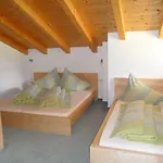 Apartment Mueller Neustift im Stubaital